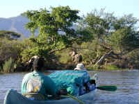 elephant_encounter1.jpg (66437 bytes)