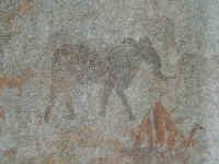 elephant_ra1.jpg (62987 bytes)
