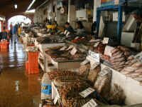 ensenada fish mkt1.JPG (405288 bytes)