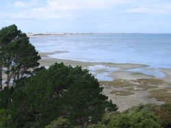 farewll_spit.jpg (62178 bytes)