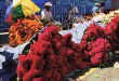 flowerman11.jpg (65815 bytes)
