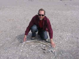 fossil_whale_bone.jpg (111293 bytes)