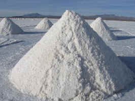 fresh_salt_ile.jpg (75361 bytes)