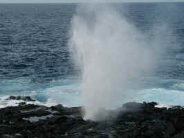 galop_blowhole.jpg (56468 bytes)