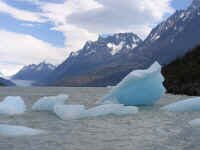 gray_glacier_bergs.jpg (56310 bytes)