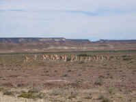 guanaco_pnpetr.jpg (79346 bytes)