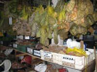 herb_vendor.jpg (104930 bytes)