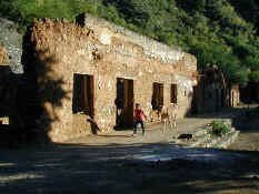 hsan miguel2.jpg (57363 bytes)
