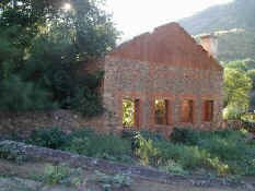 hsan miguel3.jpg (57121 bytes)