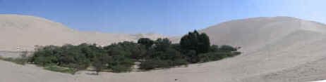 huach_dunes_pan.jpg (59534 bytes)
