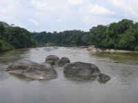 just_a_river.jpg (58046 bytes)