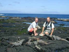 k&d_marine_iguanas.jpg (79174 bytes)