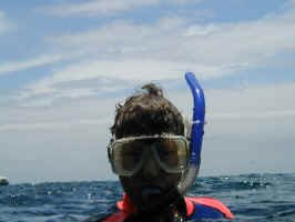 kim_snorkel.jpg (41950 bytes)