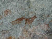 kudu.jpg (67346 bytes)