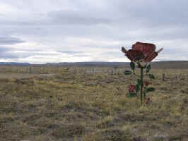 la_rose_sign.jpg (75187 bytes)