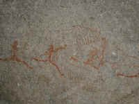 matopo_rockart1.jpg (54359 bytes)