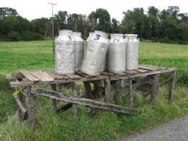 milk_bottles.jpg (105620 bytes)