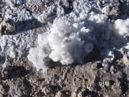 mineral_deposti_roses.jpg (103781 bytes)