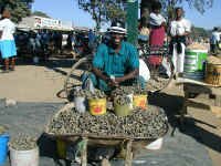 mopani_vendor.jpg (56499 bytes)