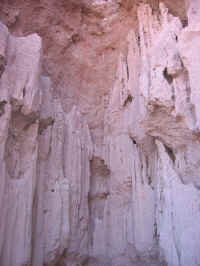 mud_fairies.jpg (87548 bytes)