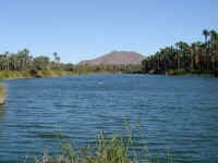 oasis san ignacio1.JPG (370797 bytes)