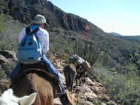 on the trail.JPG (405517 bytes)