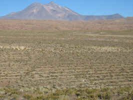 paso_sico_inca_terracing.jpg (92254 bytes)