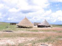 pemon_dwelling1.jpg (68446 bytes)