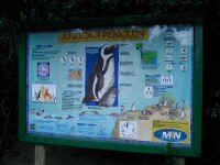 penguin_sign.jpg (78059 bytes)