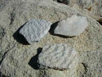 pottery shards
