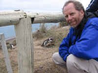 pv_penguin_don.jpg (81408 bytes)