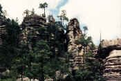 rock outcrops.jpg (39958 bytes)