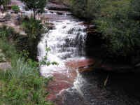 salto_kawi.jpg (118413 bytes)
