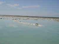 saltpond1.JPG (346381 bytes)