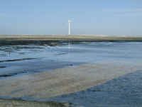 saltpond2.JPG (362753 bytes)