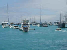 santa_cruz_harbour.jpg (52335 bytes)