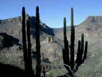 santa_teresa_view.JPG (28748 bytes)
