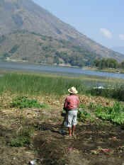 santiago mana.jpg (54853 bytes)