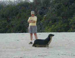 sea_lion_movin.jpg (63388 bytes)