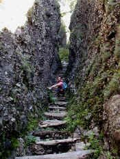 serpent path.jpg (80472 bytes)