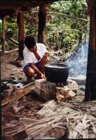 shaman.jpg (126554 bytes)