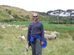 sheep_hike.jpg (90785 bytes)