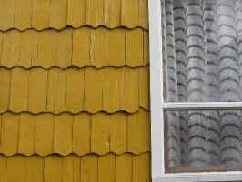 shingle9.jpg (66280 bytes)