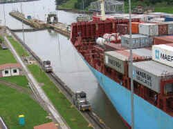 ship_and_mules.jpg (87237 bytes)