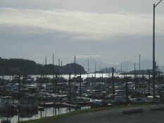 sitka small boat harbor.jpg (44882 bytes)