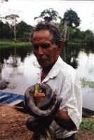 snake.jpg (24087 bytes)
