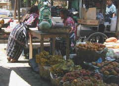 solola mkt1a.jpg (47509 bytes)