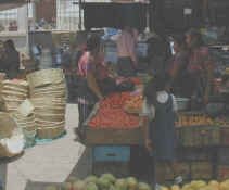 solola mkt2a.jpg (32681 bytes)