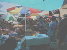 solola mkt3a.jpg (51699 bytes)