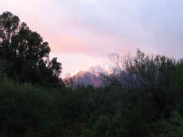 sunrise_los_alerces.jpg (47687 bytes)